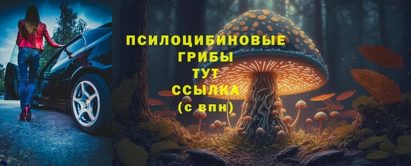 jwh Аркадак